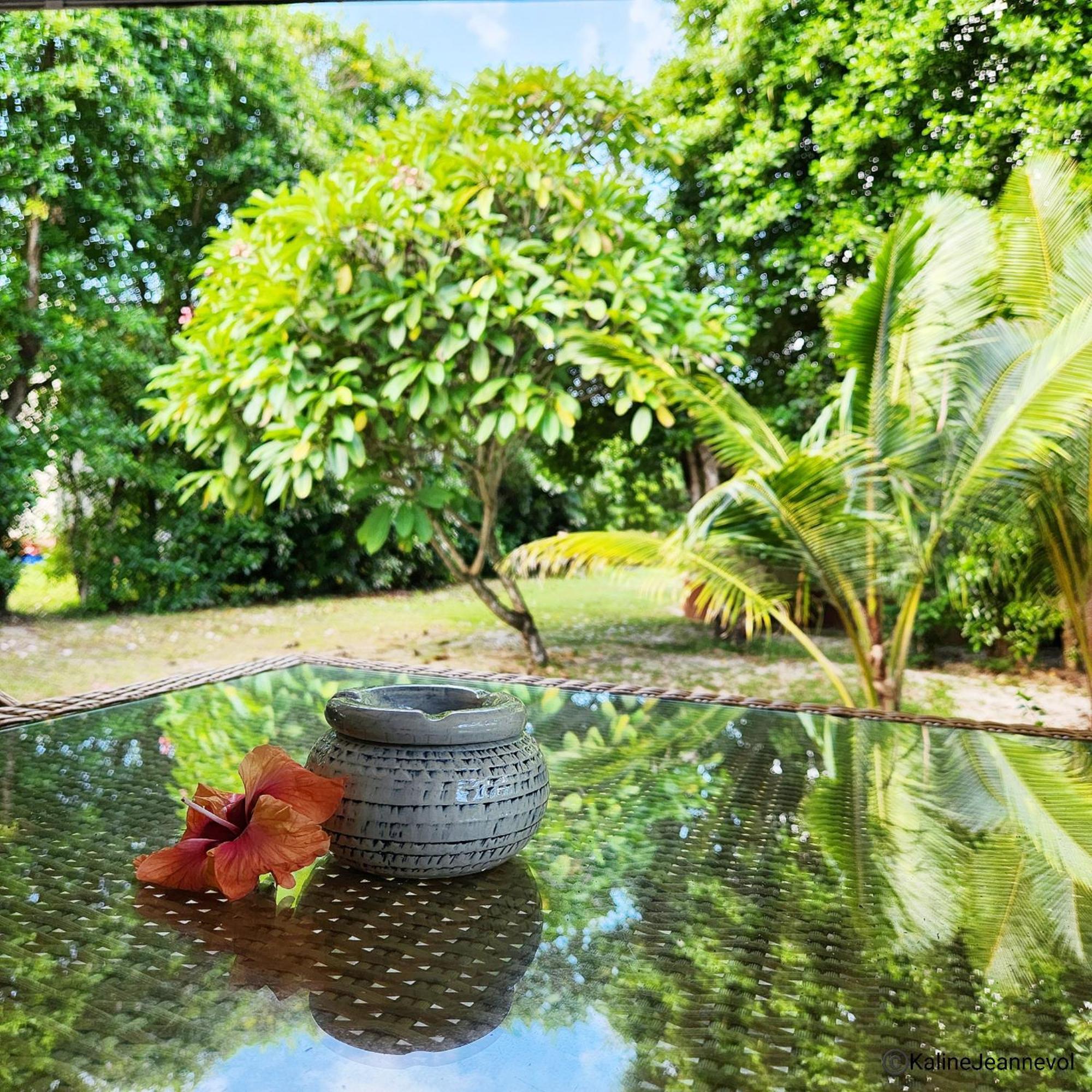 Surf Tropical Villa Takamaka Cerf Island Oda fotoğraf